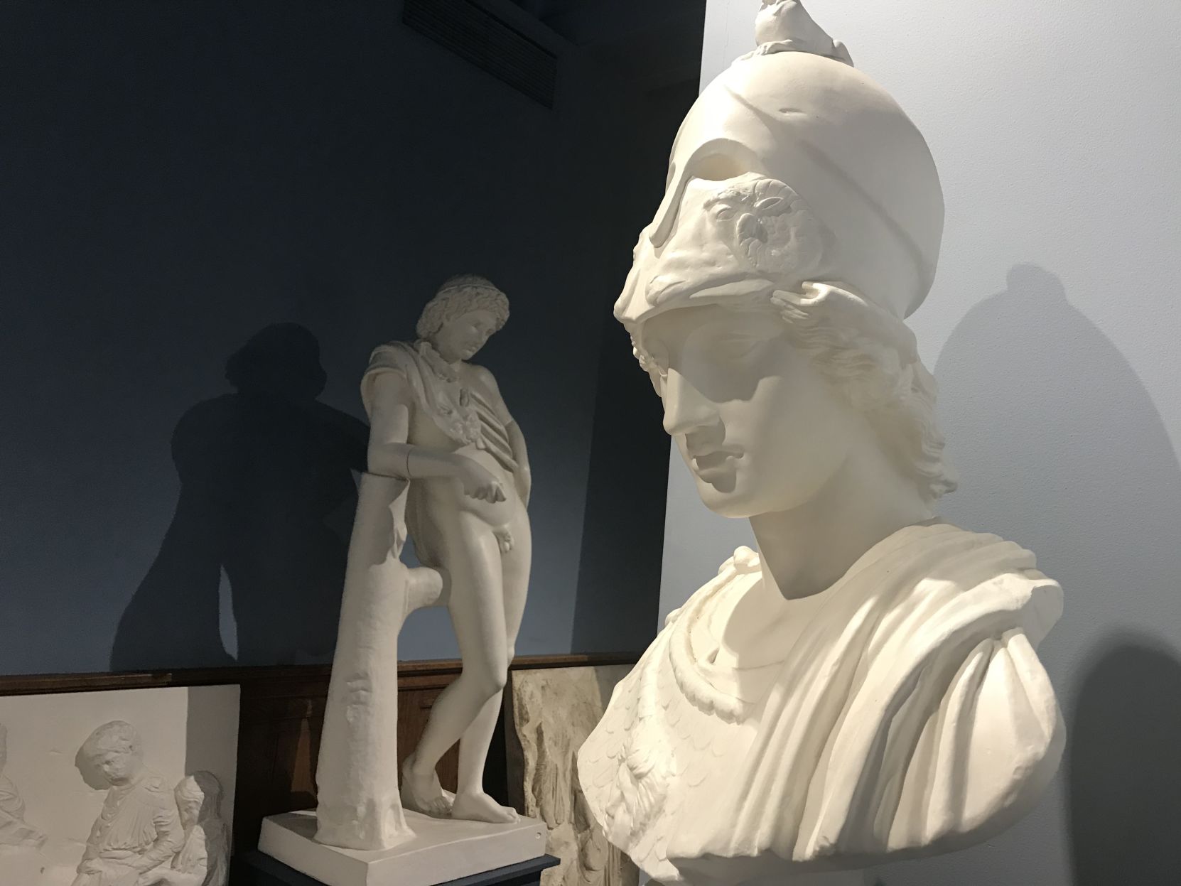 Wilcox Museum